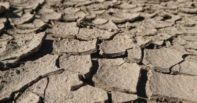 World Soil Day 2025: The World Is Moving in the Right Direction but at the Wrong Speed