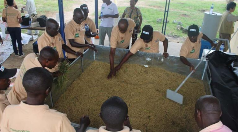 Lessening the Loss: IRRI and JICA Train Burundi Technicians On Postharvest Loss And Flatbed Drying