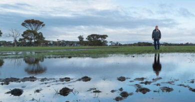 Drainage That Delivers: New Tools For Profitable Water Management Drainage That Delivers: New Tools For Profitable Water Management