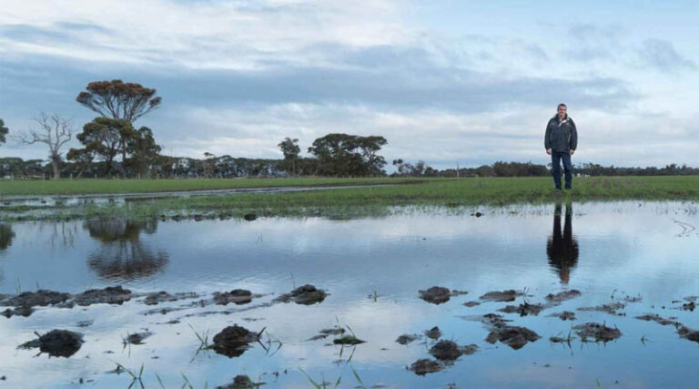 Drainage That Delivers: New Tools For Profitable Water Management