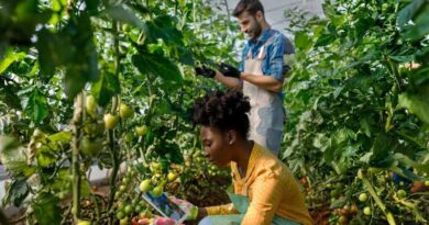 CABI Launches New ‘Evidence Synthesis’ Course