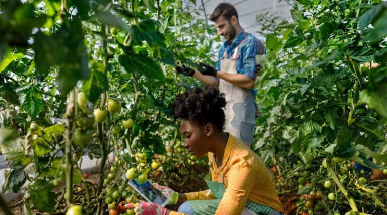 CABI Launches New ‘Evidence Synthesis’ Course