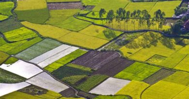 Increase in the Minimum Support Prices