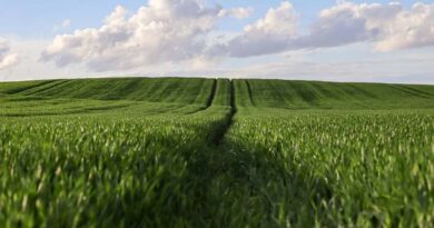 Support for Mixed Farming