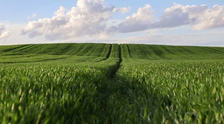 Support for Mixed Farming