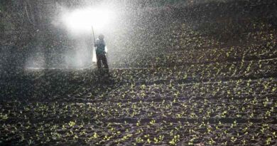 Production of Organic Fertilizers