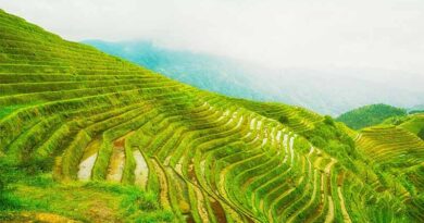 Conference on Promoting High-Quality Development of International Agricultural Cooperation Held in Kunming