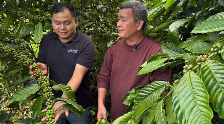 Orbia Netafim’s Khang Thinh and Hillridge Technology Partner to Bring Climate-Smart Insurance to Coffee Farmers in Vietnam