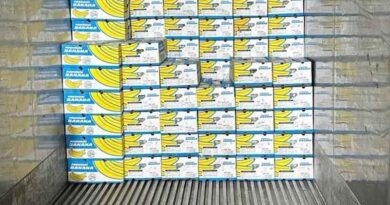 Maharashtra’s Farmer-Owned SAPCL Secures First International Banana Shipment