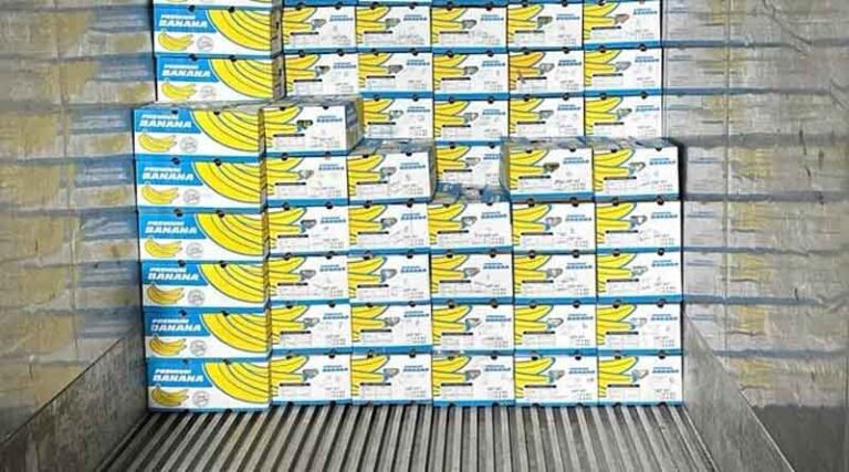 Maharashtra’s Farmer-Owned SAPCL Secures First International Banana Shipment