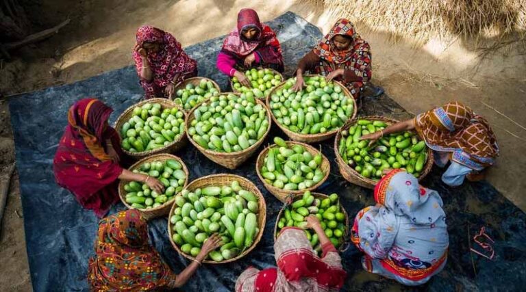 WFP to Prioritize Feeding 110 Million Of The Hungriest In 2026 As Global Hunger Deepens Amidst Uncertain Funding