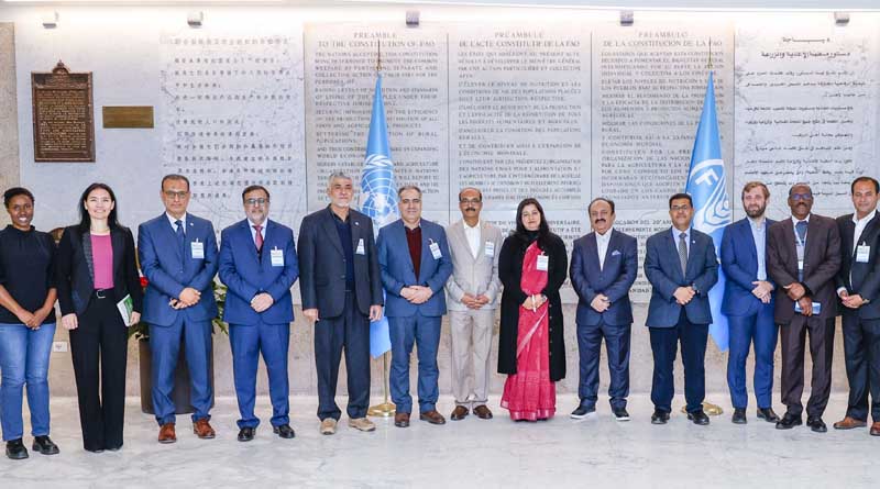 SWAC34: FAO Commission for Controlling The Desert Locust In South-west Asia To Discuss Strengthening Desert Locust Management