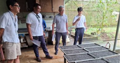 Improving Rice Crop Establishment through Japan’s Iron-Coated Rice Technology