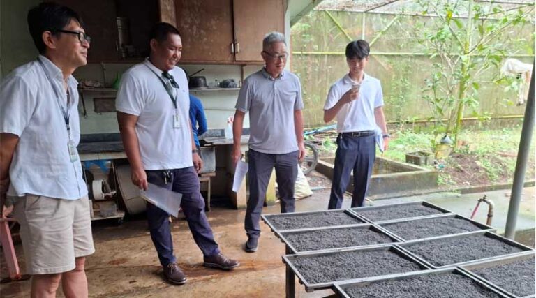 Improving Rice Crop Establishment through Japan’s Iron-Coated Rice Technology