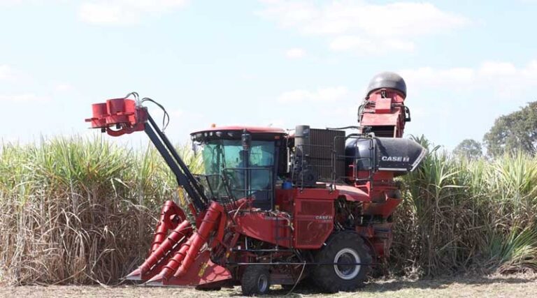 Team Of Austofts Bring Cane In On Time For Burdekin Region Operation Despite Early Season Challenges