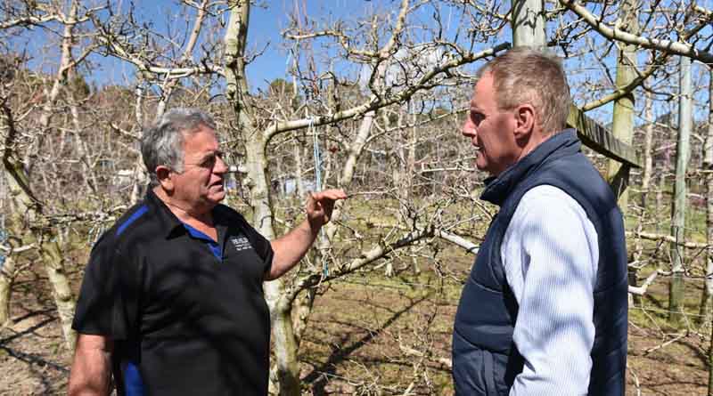 Perth Hills Grower Now Ready For Mite Challenge