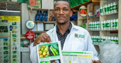 PlantwisePlus Generating Long-term Impact And Economic Returns – Here’s How