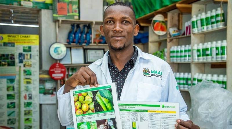 PlantwisePlus Generating Long-term Impact And Economic Returns – Here’s How