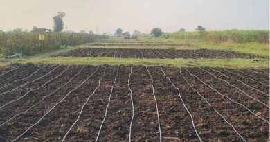 Farmers Created Scenarios For How The Community Would Respond To Water Scarcity