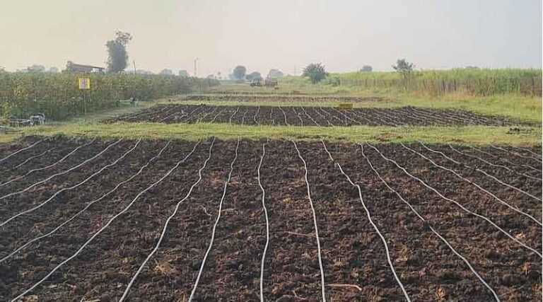 Farmers Created Scenarios For How The Community Would Respond To Water Scarcity