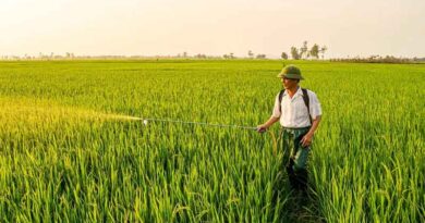Promotion of Organic Farming in Southern States Promotion of Organic Farming in Southern States