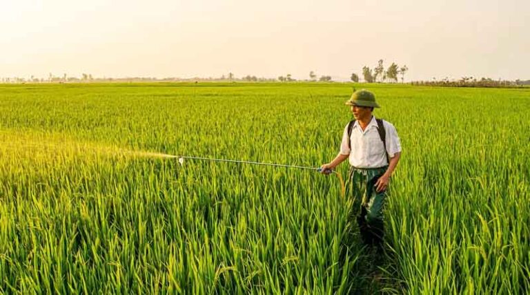 Promotion of Organic Farming in Southern States