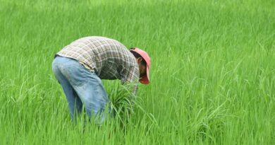 Support to Farmers to Enhance Sustainability of Agriculture
