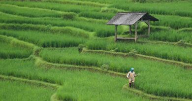 China's Poverty Alleviation Achievements Continuously Consolidated, Expanded In 2025