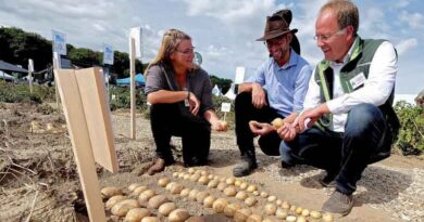 PotatoEurope 2026 and SugarBeet Expo to Be Held on 9–10 September in Germany