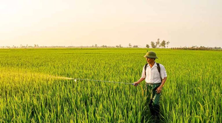 National Mission on Natural Farming to Drive Sustainable and Low-Cost Farming Practices
