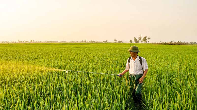 National Mission on Natural Farming to Drive Sustainable and Low-Cost Farming Practices