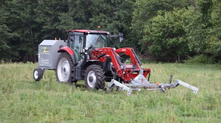 Electric Current Stymies Tall Fescue Seedheads