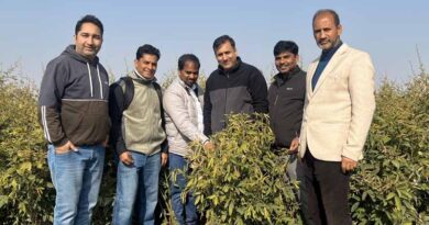 ICRISAT’s Climate-Resilient Pigeonpea Demonstrates Outstanding Performance in the Kashmir Valley Opening New Pathways for Food Security and Farmer Incomes