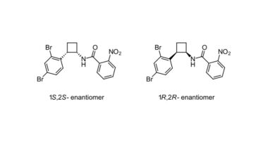 ISO Approves New Common Name “Cyclobunofen” for Carboxamide Fungicide