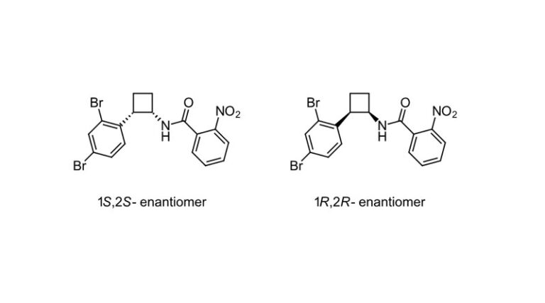 ISO Approves New Common Name “Cyclobunofen” for Carboxamide Fungicide