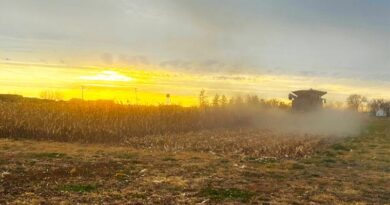 High-yield investments paid off in Meristem® 2025 Breakthrough Plot comparisons