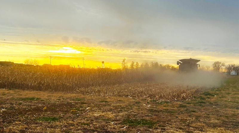 High-yield investments paid off in Meristem® 2025 Breakthrough Plot comparisons