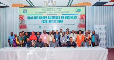 Unlocking Investment and Innovation in Dryland Crops: A Business Forum on Sorghum and Groundnut in Tanzania