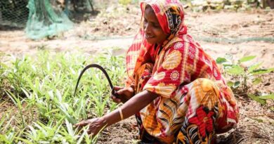 FAO-Led Projects To Make Agriculture Resilient And Sustainable In Support Of 1 Million People