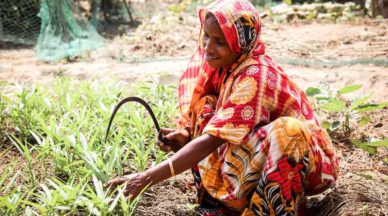 FAO-Led Projects To Make Agriculture Resilient And Sustainable In Support Of 1 Million People