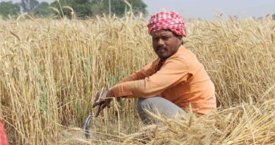 Doubling Farmers’ Income: Progress Made, Promise Still a Work in Progress Doubling Farmers’ Income: Progress Made, Promise Still a Work in Progress