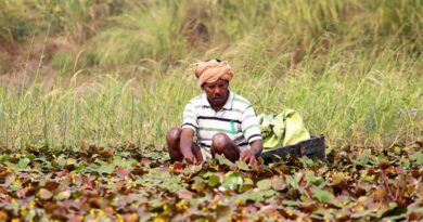 Inside India’s Farm Transformation: Rising Budgets, Digital Agriculture and the Push for Farmer Prosperity Inside India’s Farm Transformation: Rising Budgets, Digital Agriculture and the Push for Farmer Prosperity