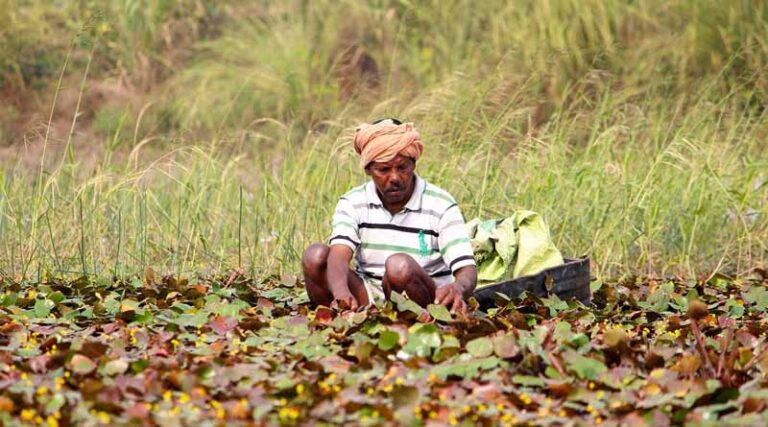 Inside India’s Farm Transformation: Rising Budgets, Digital Agriculture and the Push for Farmer Prosperity
