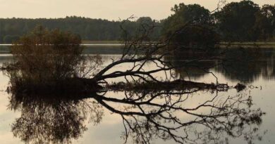 Maharashtra Tops Flood Damage Chart, Yet India Records Strong Kharif Growth in 2025