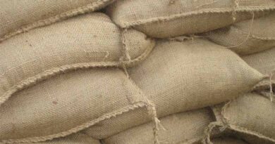 Rabi Marketing Season 2025–26: Government Procures 310 LMT, Pays ₹79,267 Crore to Farmers at MSP Rabi Marketing Season 2025–26: Government Procures 310 LMT, Pays ₹79,267 Crore to Farmers at MSP