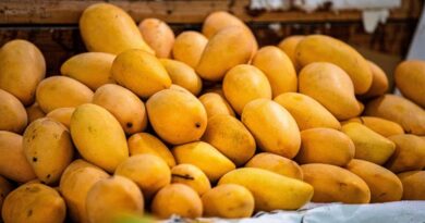 India’s Organic Food Exports at 3.68 Lakh Tonnes Valued at USD 665.97 Million in 2024–25