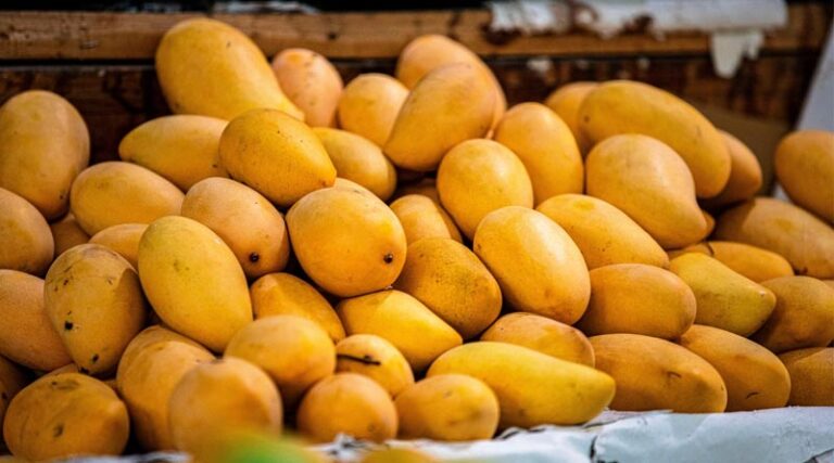 India’s Organic Food Exports at 3.68 Lakh Tonnes Valued at USD 665.97 Million in 2024–25