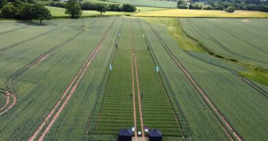 ADAMA and BASF Agricultural Solutions to Co-Develop Gilboa® Fungicide Technology