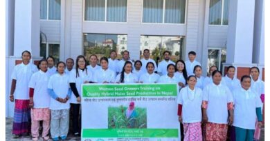 Women Lead Nepal’s Hybrid Maize Seed Production