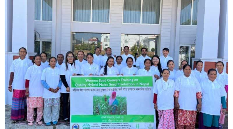 Women Lead Nepal’s Hybrid Maize Seed Production